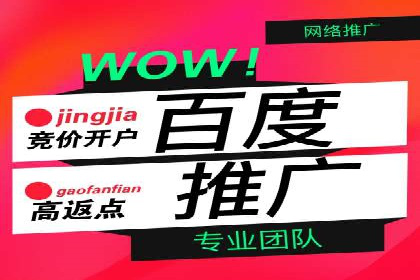 SEM推广优化策略：成功案例解析