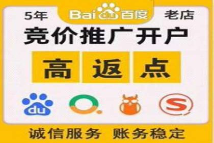 行业领先企业的SEM广告策略与效果分析